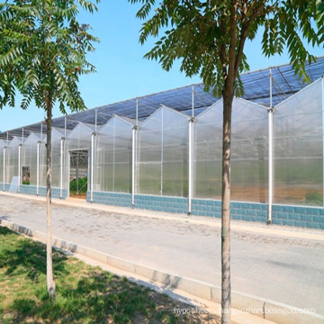 Buy cheap plastic polycarbonate cover material tomato greenhouse agricultural frame